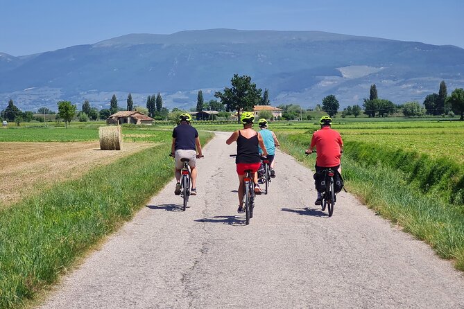 Spello E-Bike & Wine Tour with Scenic Winery Lunch - Key points to know before you book