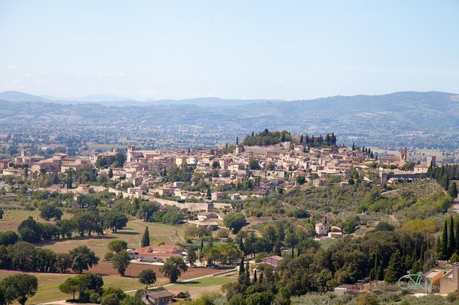 Spello E-Bike & Wine Tour with Scenic Winery Lunch - Lunch and tasting at Tili Vini