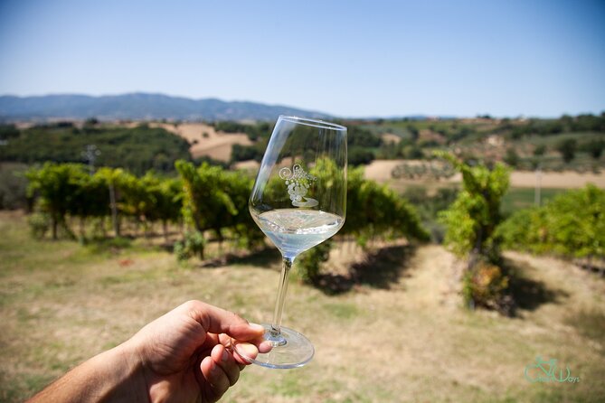 Spello E-Bike & Wine Tour with Scenic Winery Lunch - Starting at Torre del Colle at 9:30