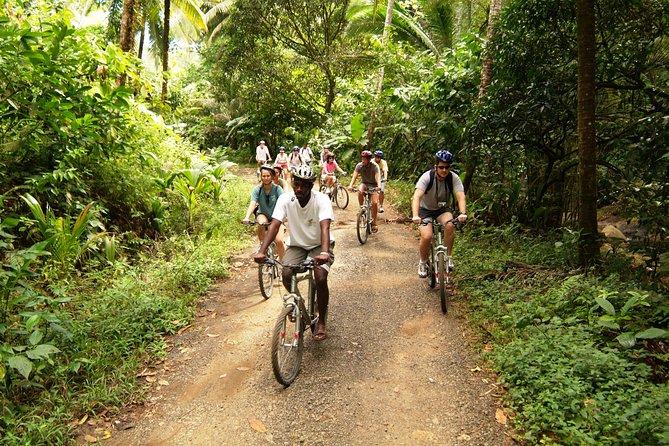St Lucia Bike and Hike - The plant and wildlife lesson along the way
