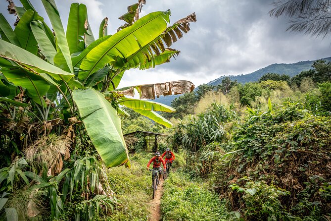 Stairway to Heaven Trail Mountain Biking Tour Chiang Mai - Meeting your guide and getting set up at 8:30