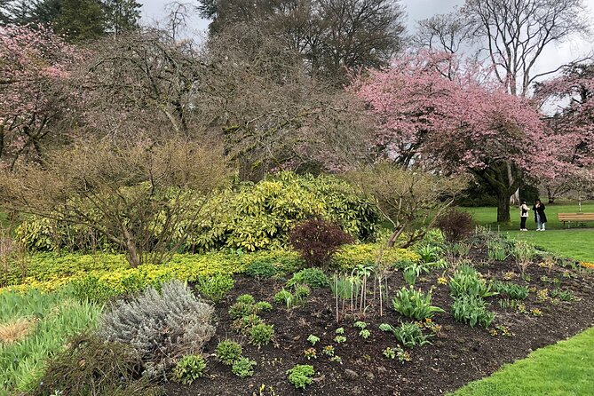 Stanley Park Bike Adventure with Lux Car Pick Up Affordable Easy - A patient guide and a useful pace