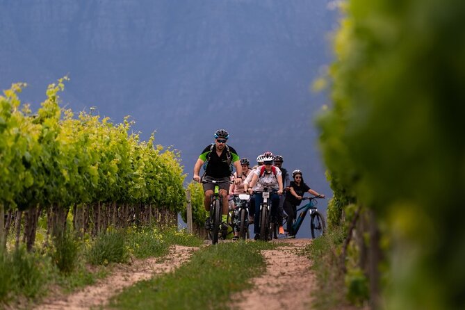 Stellenbosch Half Day Winelands Mountain Bike Tour - Why this Stellenbosch bike tour works