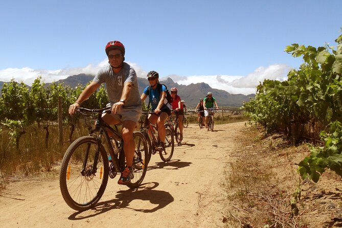 Stellenbosch Half Day Winelands Mountain Bike Tour - Riding through the Stellenbosch vineyards