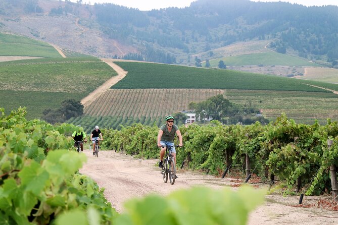 Stellenbosch Half Day Winelands Mountain Bike Tour - What the wine stops add to the ride