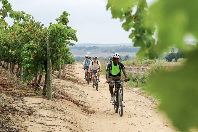 Stellenbosch Half Day Winelands Mountain Bike Tour - Weather, cancellations, and practical planning
