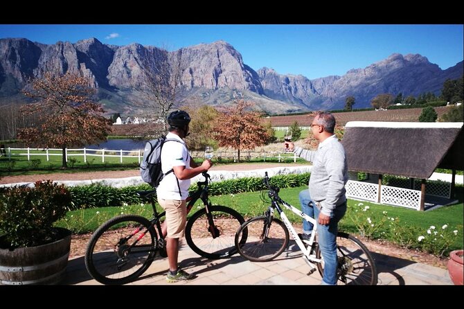 Stellenbosch Private E-Bike & Wine Tour - Thelema Mountain Vineyards among the vines