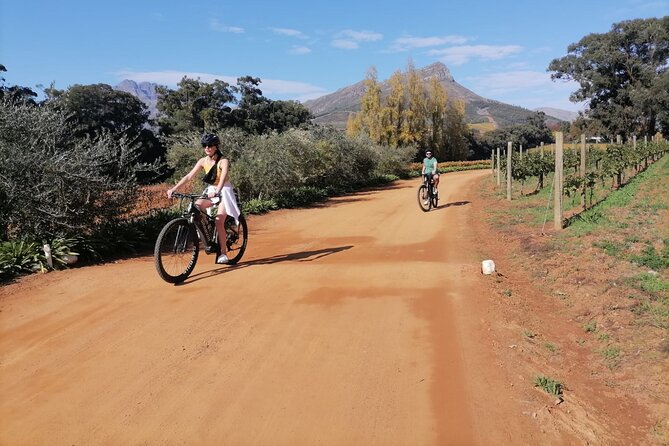 Stellenbosch Private E-Bike & Wine Tour - Is $103.89 good value?