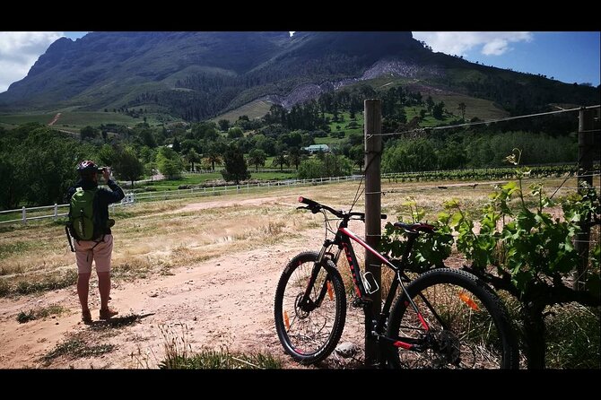 Stellenbosch Private E-Bike & Wine Tour - Timing, meeting point, and what to bring