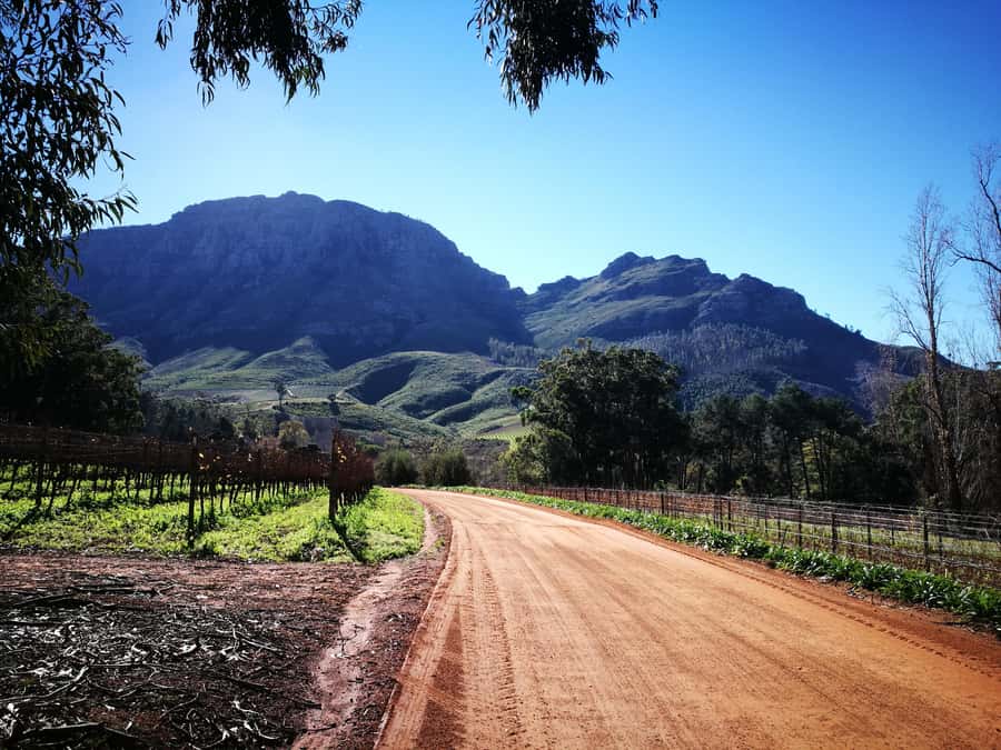Stellenbosch: Stellenbosch E-Bike & Wine Tour (Shared Tour) - What the E-Bike Adds to the Day