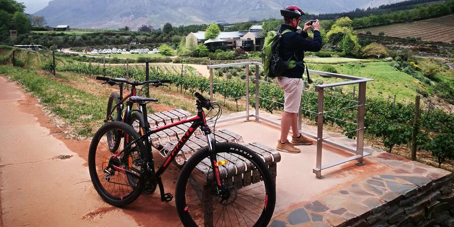 Stellenbosch: Stellenbosch E-Bike & Wine Tour (Shared Tour) - Who Will Enjoy This Most?