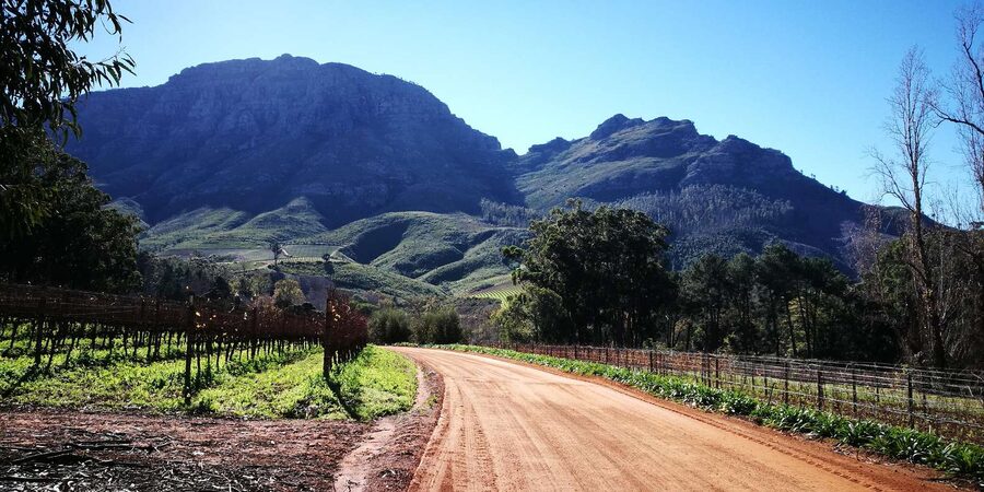Stellenbosch: Stellenbosch E-Bike & Wine Tour (Shared Tour) - Should You Book the Stellenbosch E-Bike and Wine Tour?
