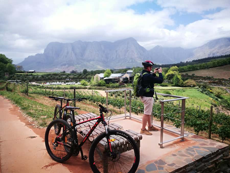 Stellenbosch: Stellenbosch Private E-Bike & Wine Tour - The vineyard stop and the return to Banhoek Lodge