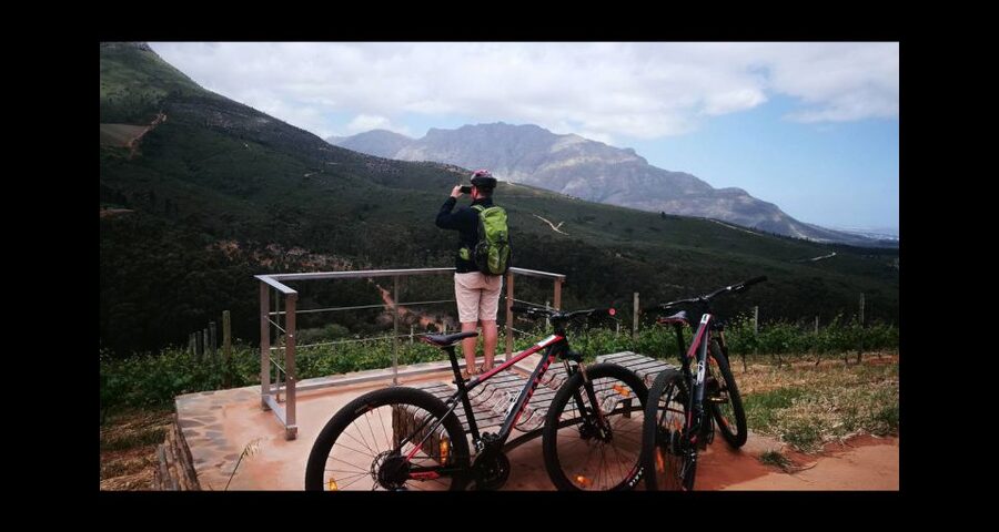 Stellenbosch: Stellenbosch Private E-Bike & Wine Tour - Who should book this ride?
