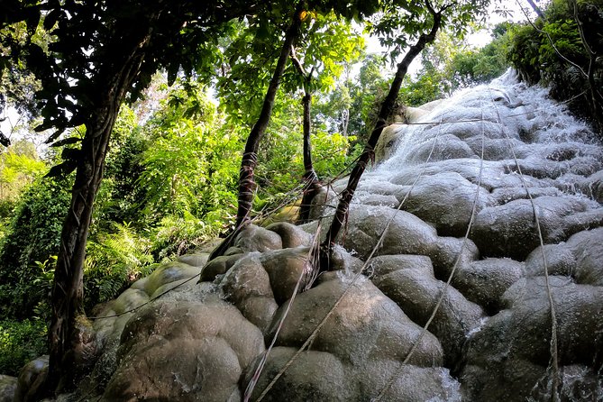 Sticky Waterfall Cycling Tour - Key points at a glance