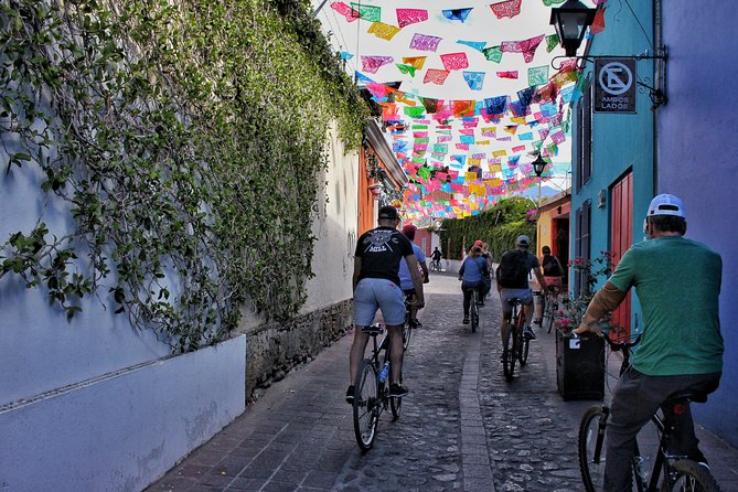 Street Art Bike Ride - Reading Oaxaca through public art