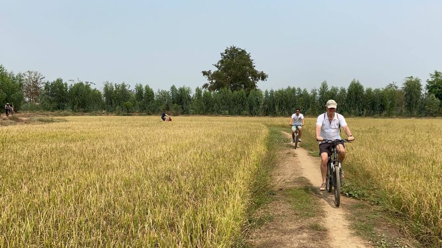 Sukhothai: Half-Day Countryside Bike Tour - Who should book this Sukhothai bike tour?