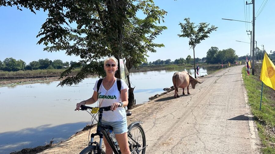 Sukhothai: Half-Day Countryside Bike Tour - Ban Khuai and the first look at village life
