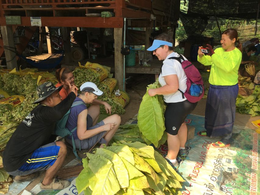 Sukhothai: Half-Day Countryside Bike Tour - Rice paddies and the dirt-road stretch