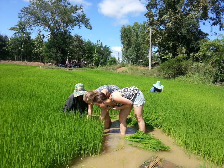 Sukhothai: Half-Day Countryside Bike Tour - The guides make the difference