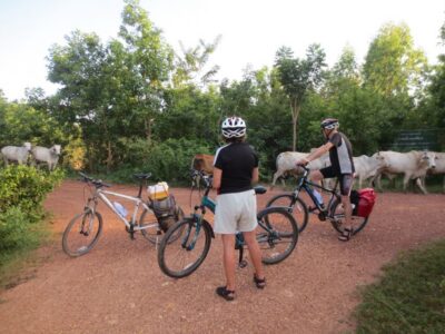 Historical Park & Countryside Cycling Tour