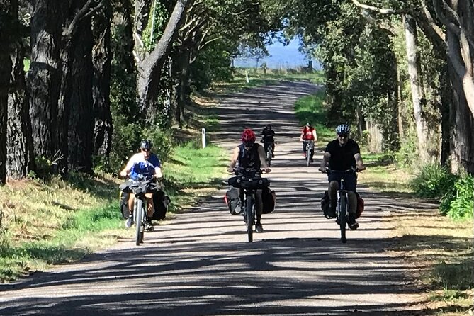 Sydney Electric Mountain Bike Guided Tour - Timing, food, and what your day may feel like