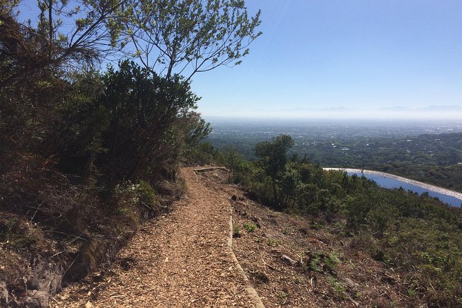 Table Mountain Cycling Experience - Around Devil’s Peak and onto Table Mountain