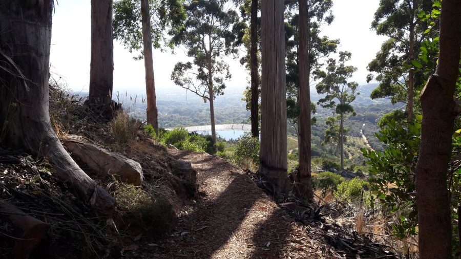 Table Mountain: Mountain Biking to Constantia Wine Estate - Starting below Table Mountain