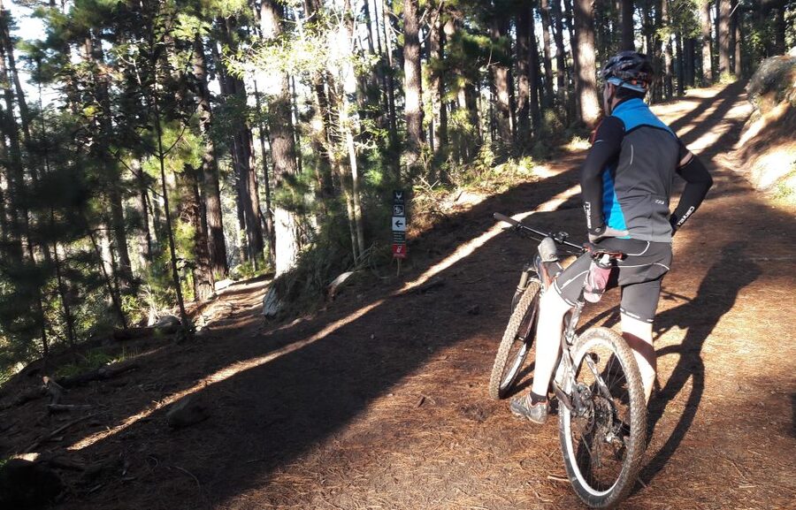 Table Mountain: Mountain Biking to Constantia Wine Estate - The rocky route toward Newlands Forest