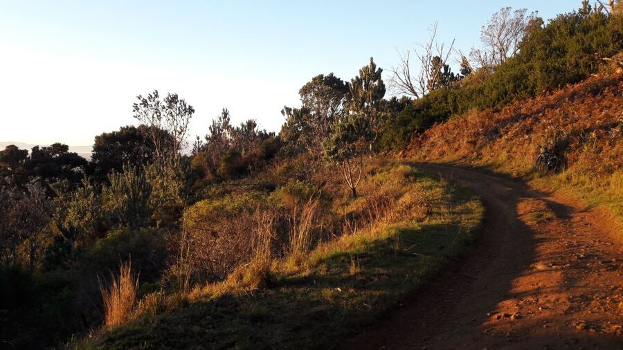 Table Mountain: Mountain Biking to Constantia Wine Estate - Who should book this ride?