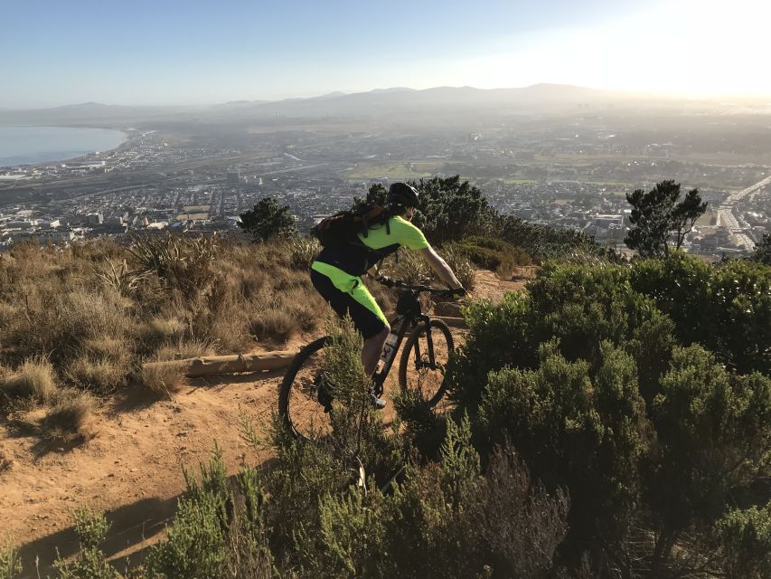 Table Mountain: Mountain Biking to Constantia Wine Estate - Kirstenbosch brings the best views