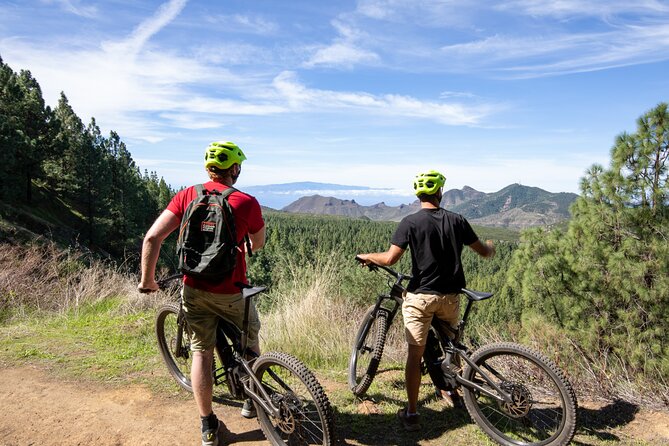 Tenerife: Guided Electric Mountain Bike Volcano Tour - Forest tracks, Masca views, and changing scenery
