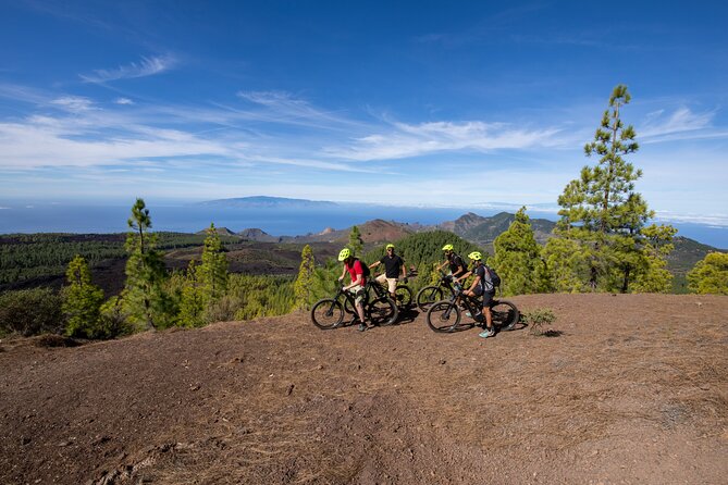 Tenerife: Guided Electric Mountain Bike Volcano Tour - Is $108.37 a fair price?