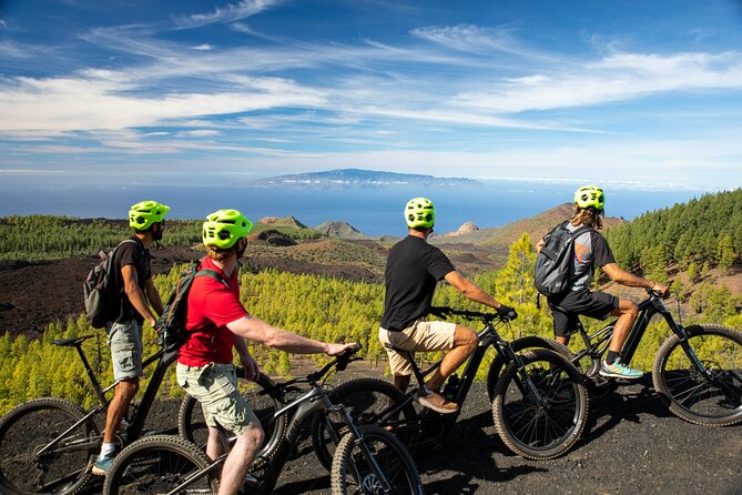Tenerife: Guided Electric Mountain Bike Volcano Tour - Teide National Park: high views and volcanic silence