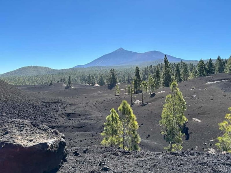 Tenerife: premium e-bike ride at Chineyro volcanic area - Key points before you book