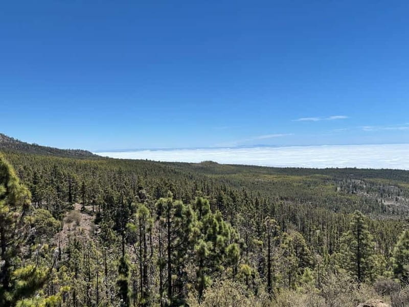 Tenerife: premium e-bike ride at Vilaflor- Lunar Landscape - Why the Premium Bikes Matter on a 36-Kilometer Ride