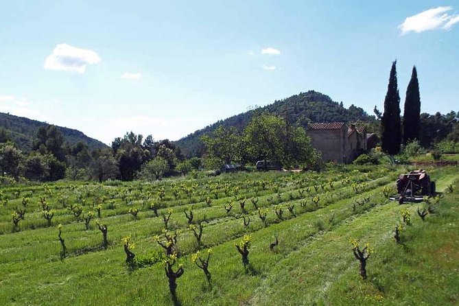 The Grape Escape! Cycling in Beautiful Scenery with Wine Tasting - Quiet roads, hamlets, and farm views