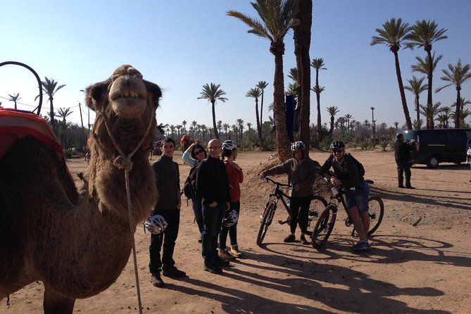 The Palmery Off-Road Bike Tour from Marrakech - Leaving Marrakech for the Palmeraie