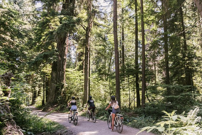 The Stanley Park Bicycle Tour by Cycle City Tours - Entering Stanley Park’s temperate rainforest
