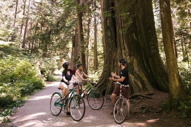 The Stanley Park Bicycle Tour by Cycle City Tours - The lagoon and the park’s working ecosystem