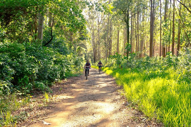 The Train Track Trail Mountain Bike Ride - Private experience - Key details at a glance