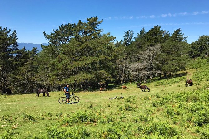 The Train Track Trail Mountain Bike Ride - Private experience - Who should book this ride