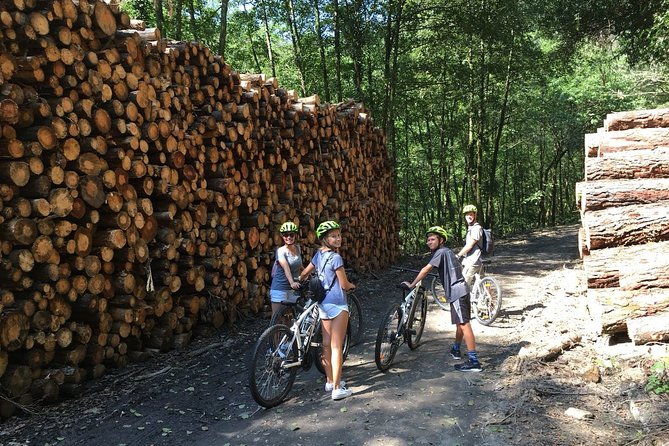 The Train Track Trail Mountain Bike Ride - Private experience - Through the tunnels and woods toward Berastegi