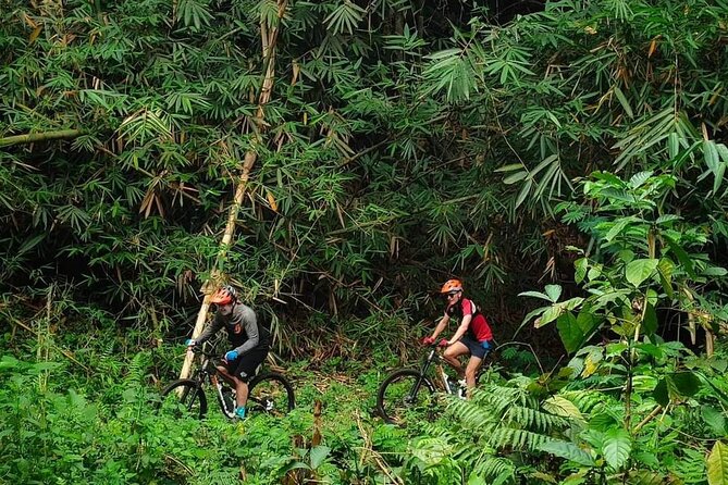 The Volcano Trail – Epic Volcano Cycling Adventure - Key points to know before booking