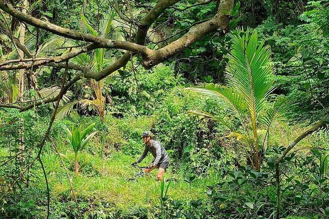 The Volcano Trail – Epic Volcano Cycling Adventure - Who will enjoy this ride most