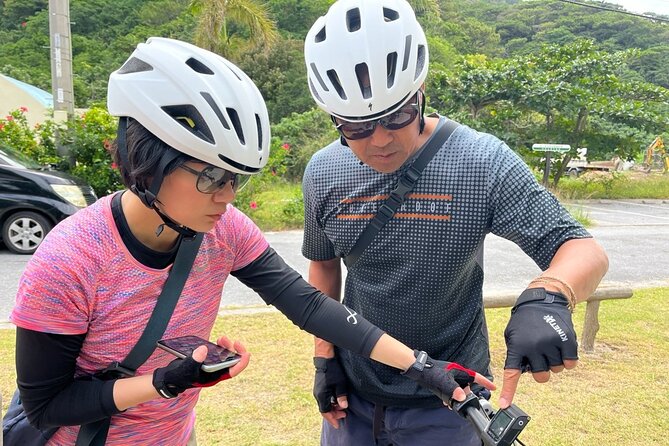 Tokashiki Island Guided Cycling Tour for 3-hours Course - Forest roads, flowers, and island wildlife