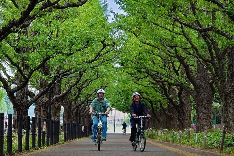 Tokyo: 3h Private E-bike Tours, Starting at Your Hotel - Meeting your guide at the hotel