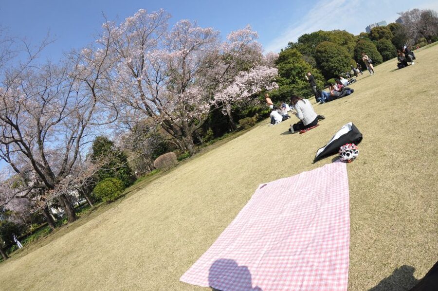 Tokyo: Private Cycling Tour with cute E-bike - Weather, road confidence, and practical comfort