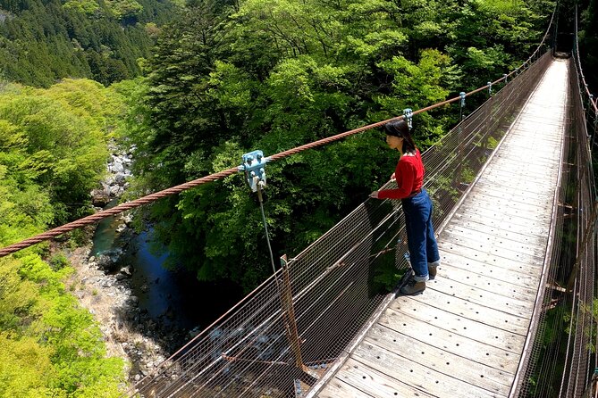 Tokyo's hidden nature cycling tour - Okutama Historical Road Tour - Reaching Lake Okutama