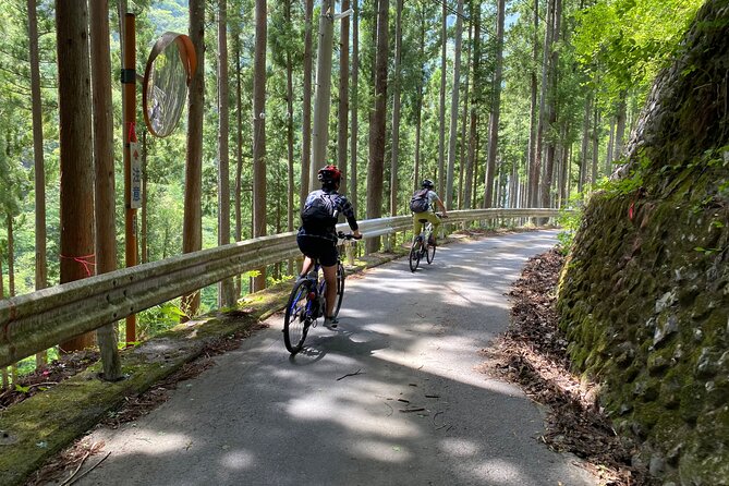 Tokyo's hidden nature cycling tour - Okutama Historical Road Tour - Price, timing, and practical value